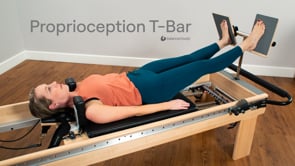 Proprioception T bar introduction