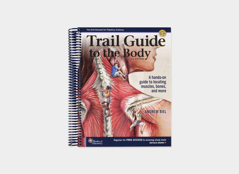 A hands-on guide to locating muscles, bones, and more